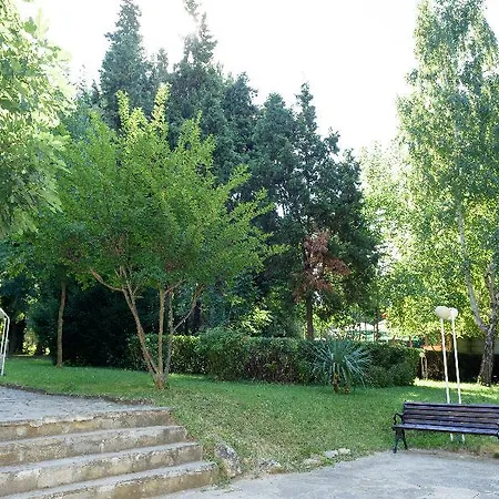 Oasis Hotel 3*