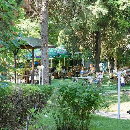 Oasis 3* Obzor