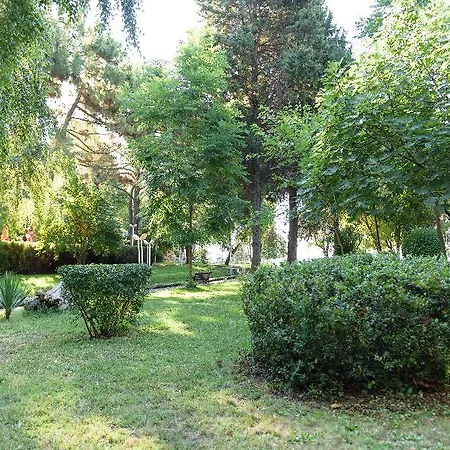Hotel Oasis 3*